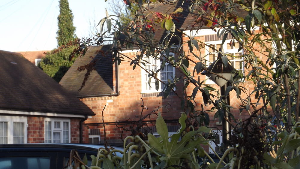 The Peacock Townhouse Hotel Kenilworth - Warwick Экстерьер фото